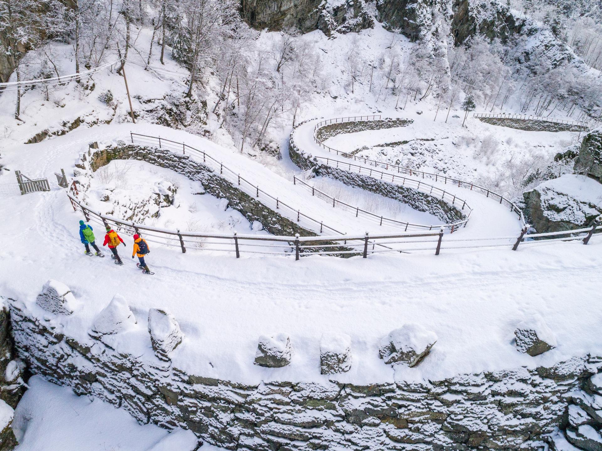 Snowshoeing and Dogsledding Jotunheimen(7)