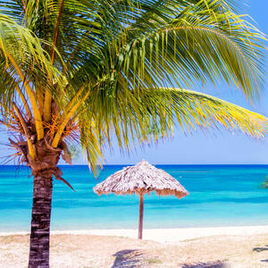 Open for suggestions