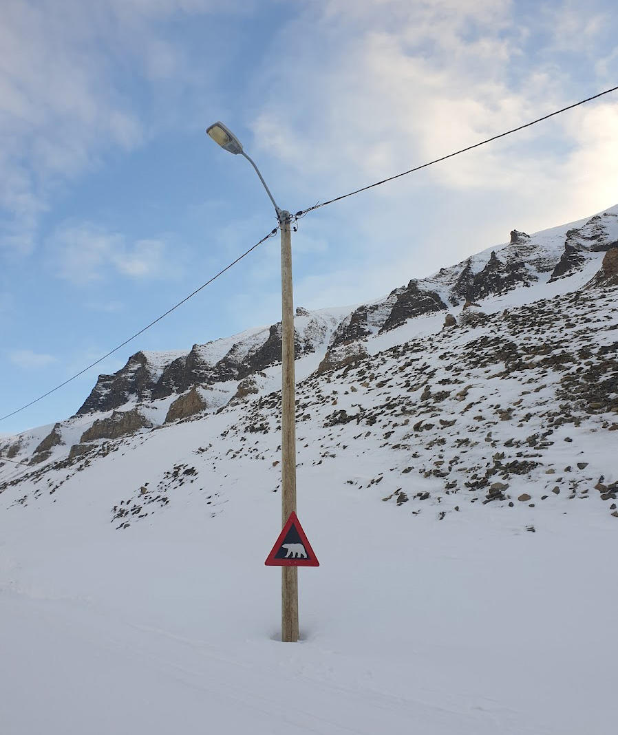 Svalbard Nordenskiold@EliseKoren (23)