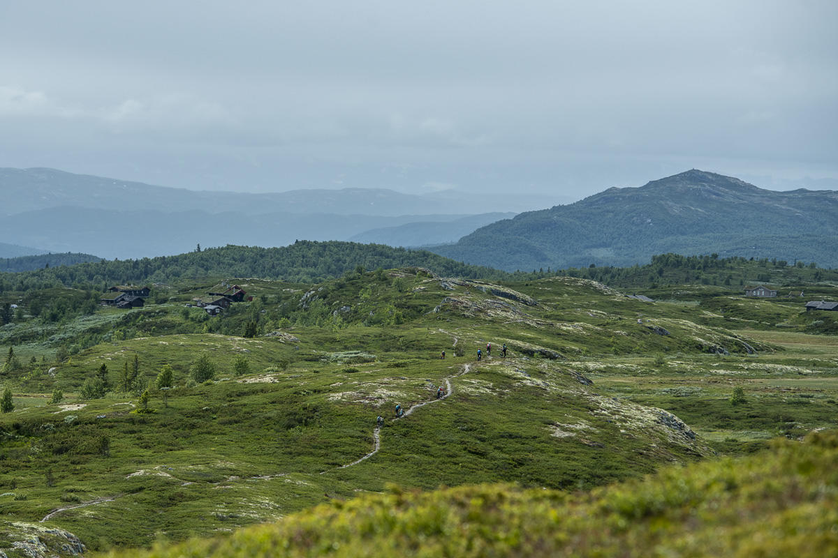 Mountain biking Hallingdal (7)