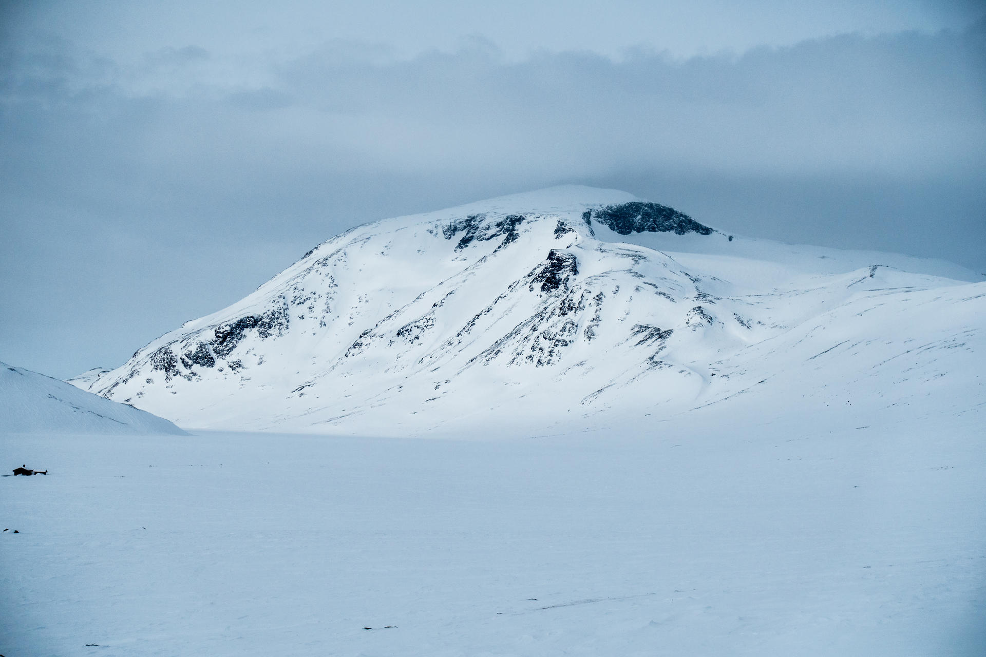 &Oslash;yvind Salvesen