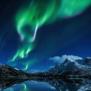 Northern Light