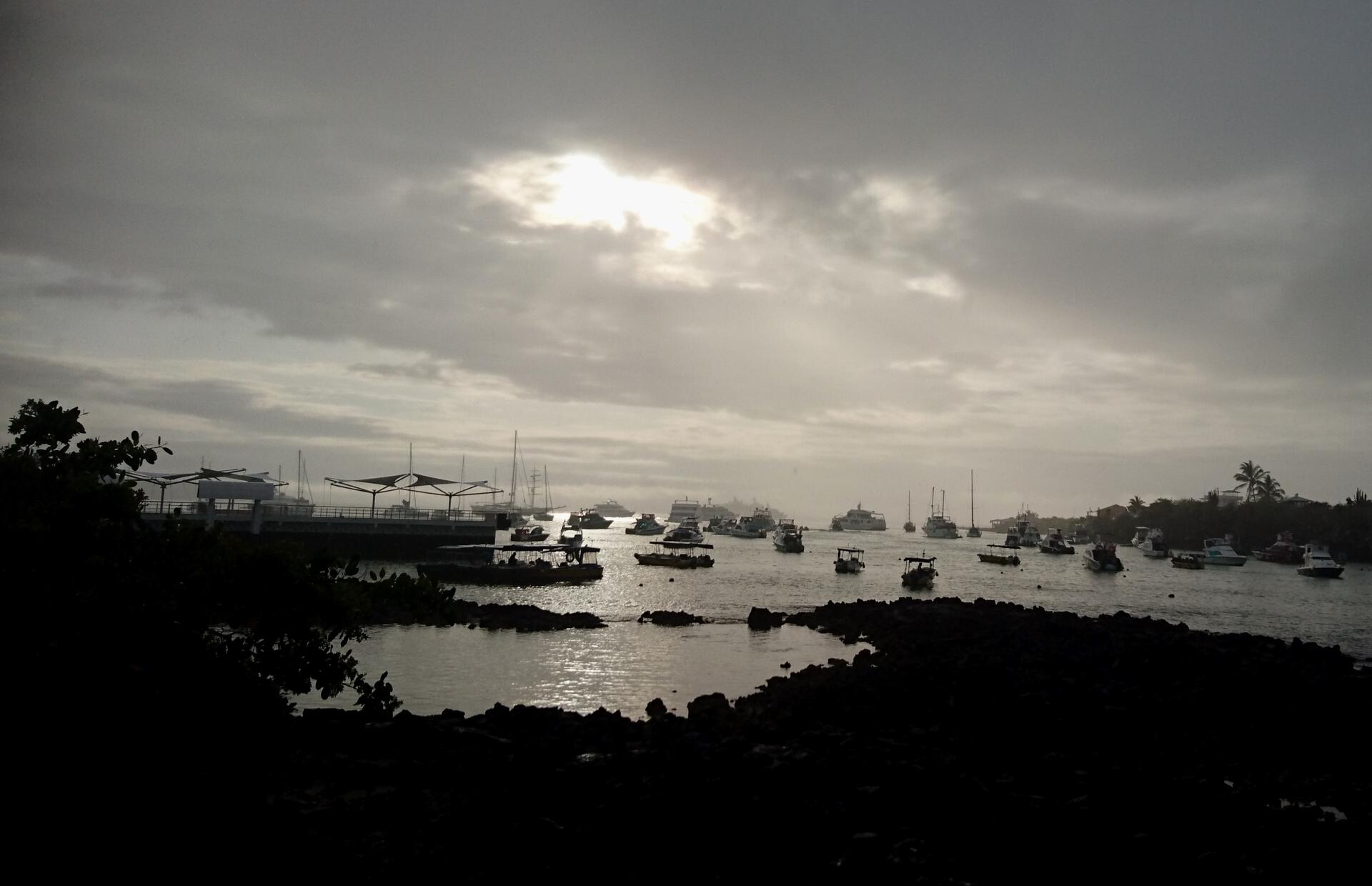 EcuadorGalapagos-2020e@HanneHoll&aring;s (25)