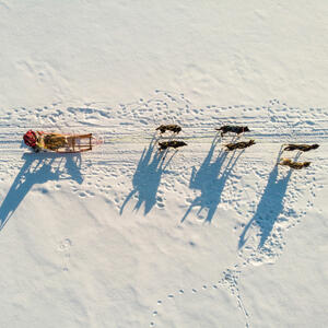 Mixed winter activities