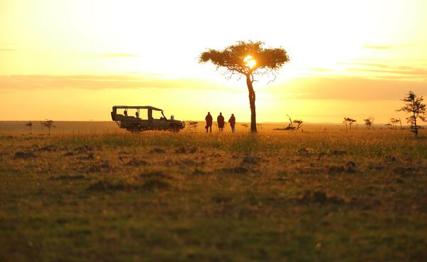 Safari in Masai Mara and Naboisho with an unforgettable beach holiday