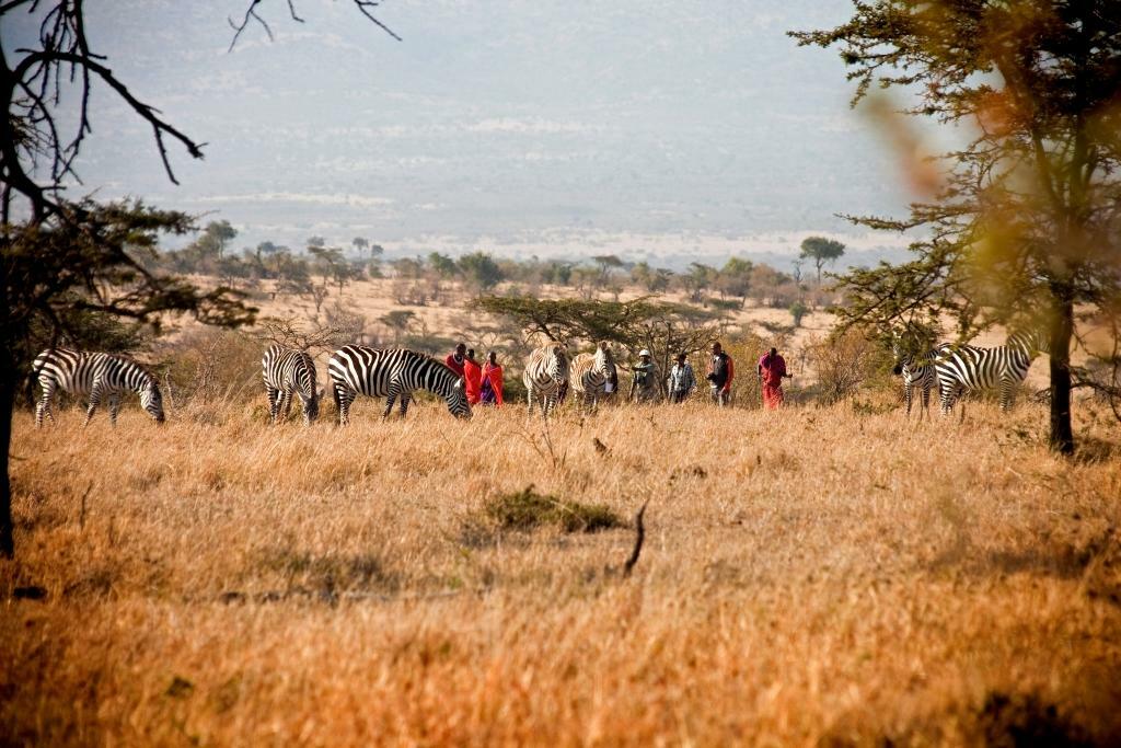 KenyaSafari-2018@BasecampExplorer (16)