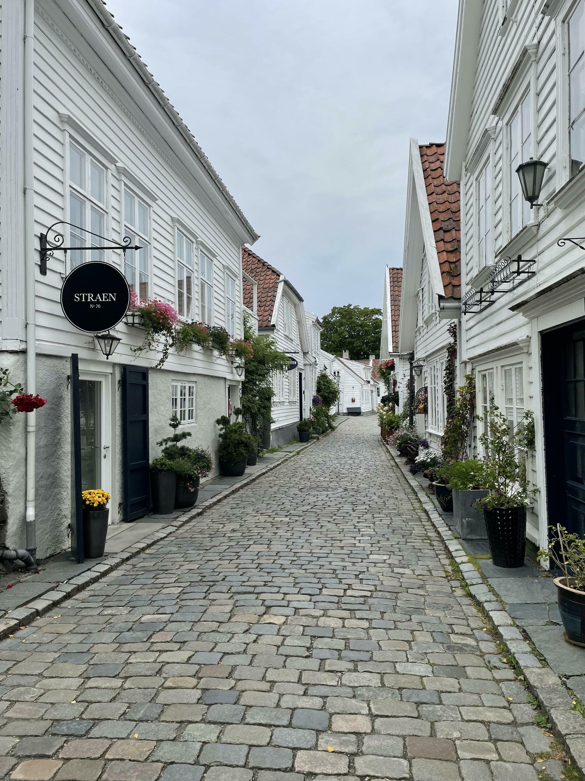 Icons of the Fjords@FridaHalvorsen 6