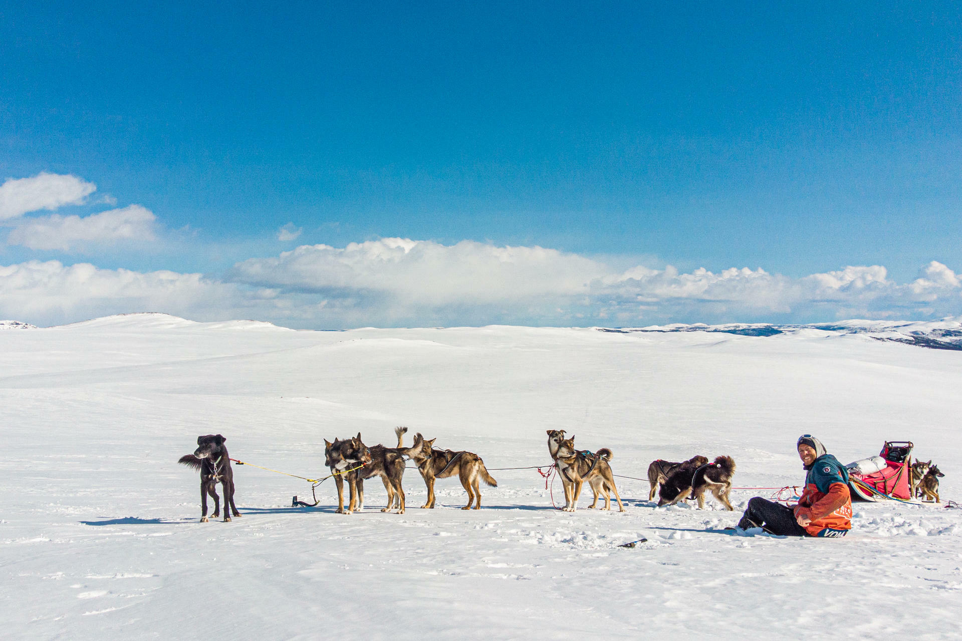 Hundesledetur i Jotunheimens Bakg&aring;rd@BeitoHusky(11)