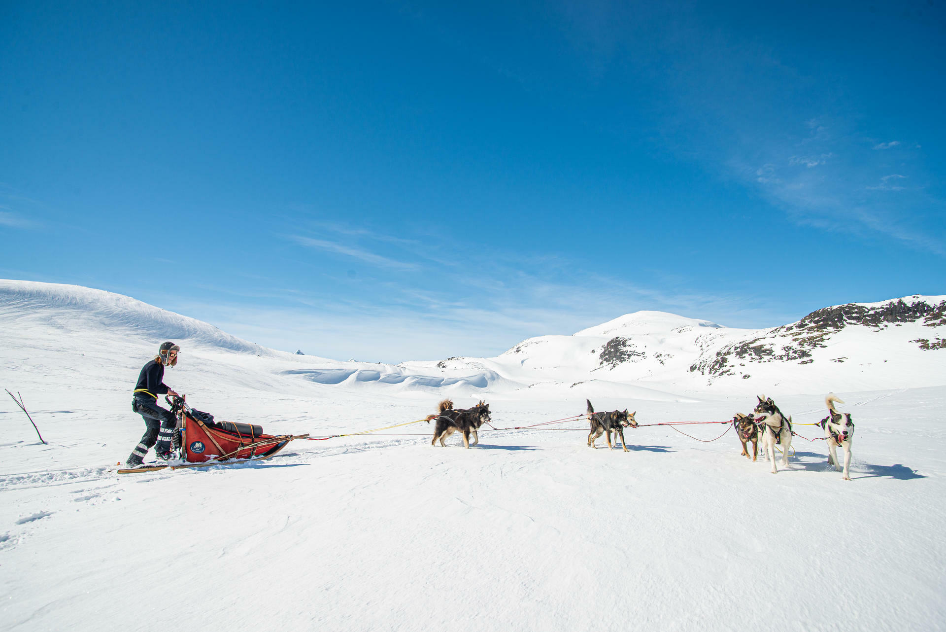 Hundesledetur i Jotunheimens Bakg&aring;rd@BeitoHusky(20)