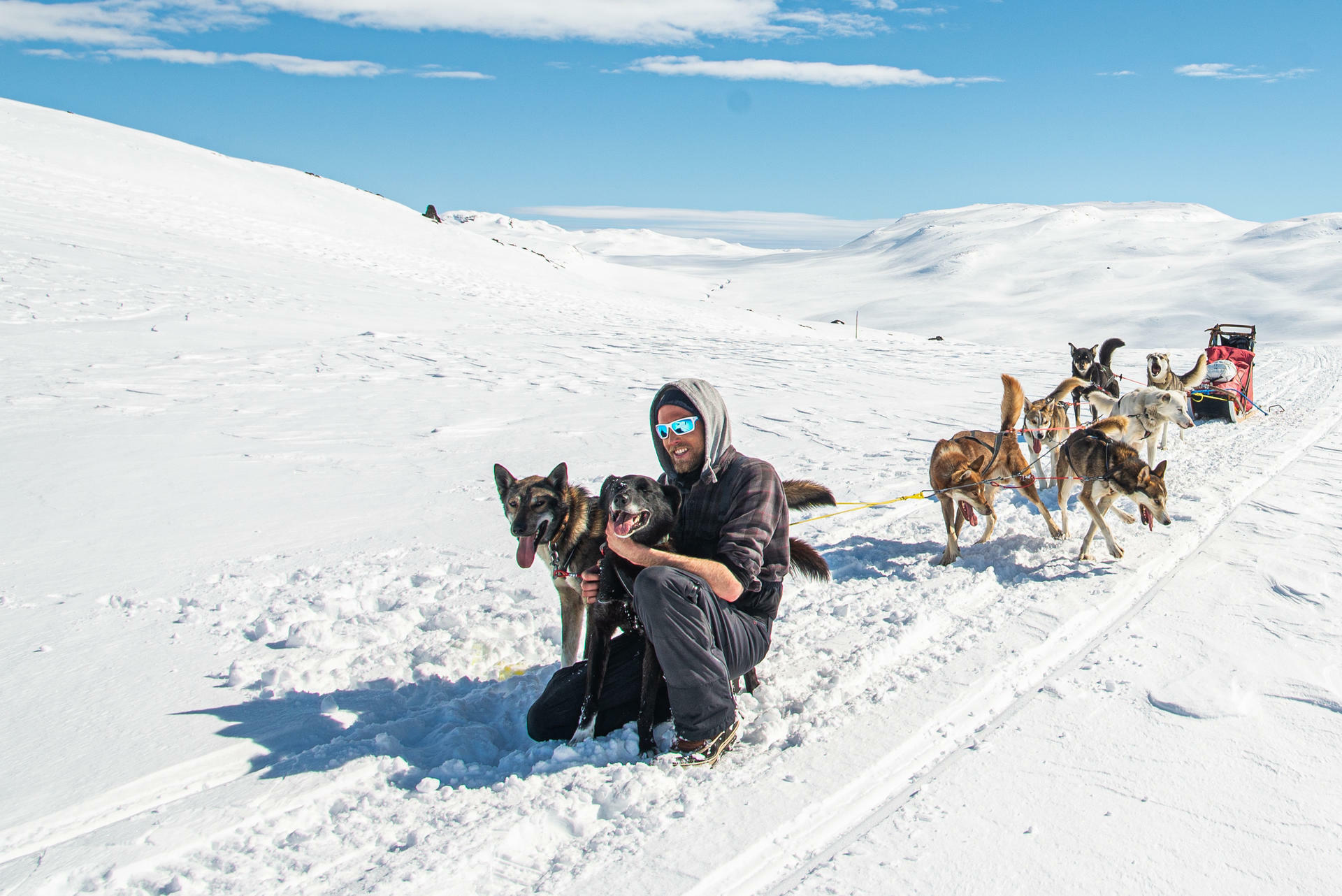 Hundesledetur i Jotunheimens Bakg&aring;rd@BeitoHusky(21)