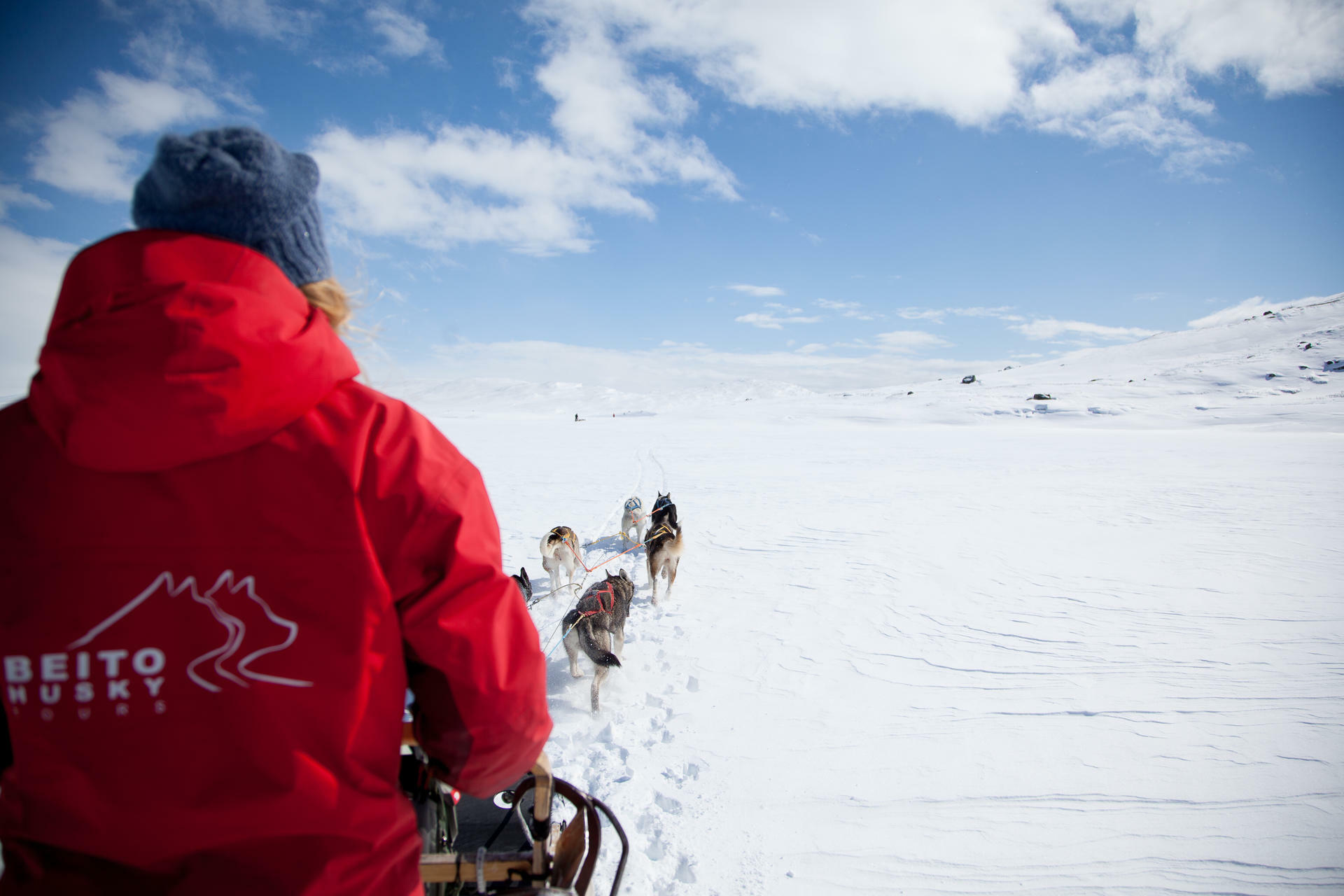 Hundesledetur i Jotunheimens Bakg&aring;rd@BeitoHusky(4)