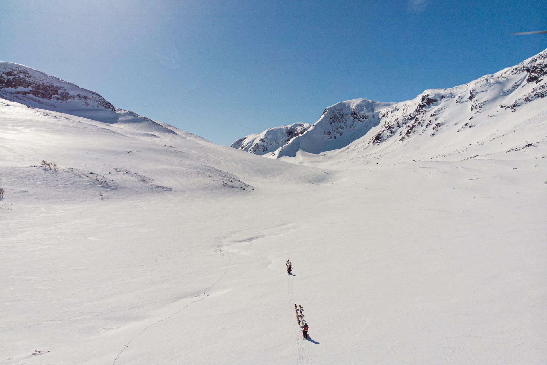 Hundesledetur i Jotunheimens Bakg&aring;rd@BeitoHusky(8)