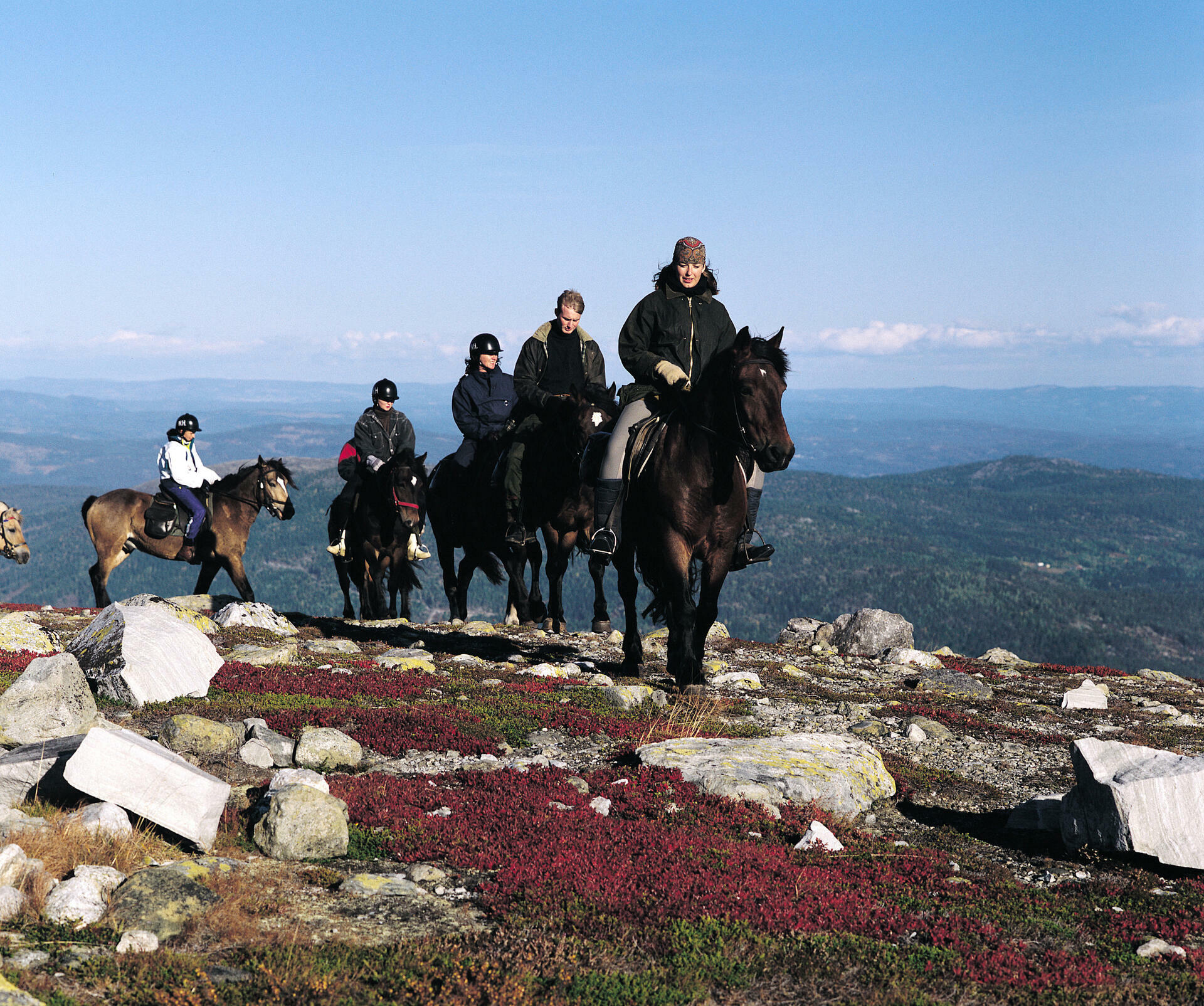Norefjell  fjell  ridning  hester  dyr  natur  himmel  fjell_P&aring;l Bugge - VisitNorway.com