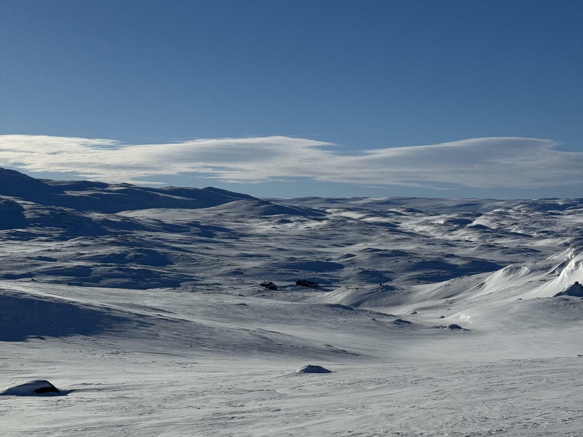 Hardangervidda p&aring; langs 7@J&oslash;rgen Br&oslash;to Torland