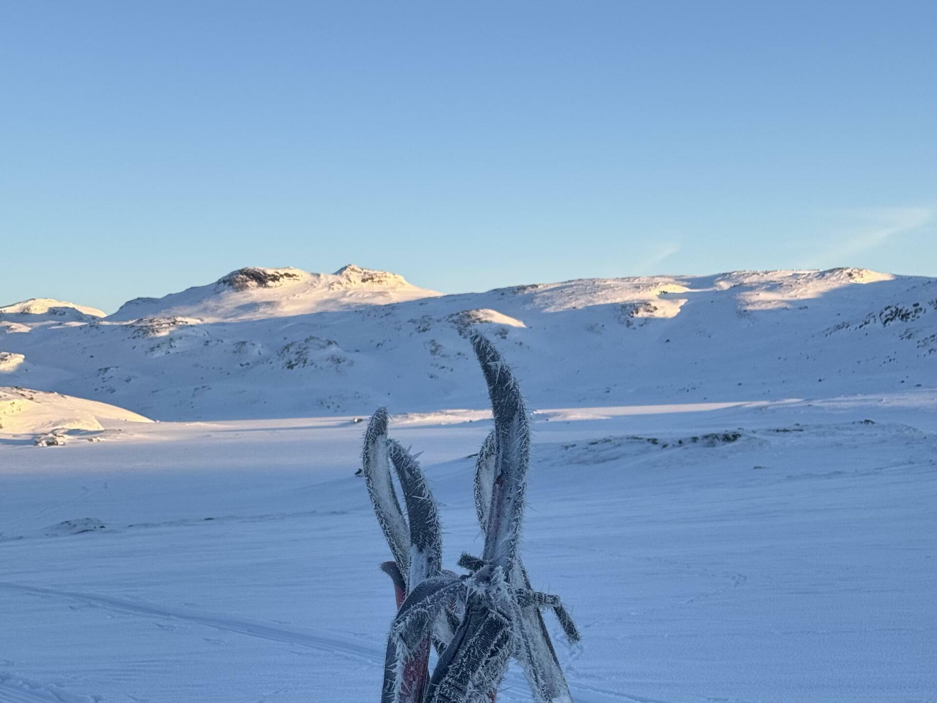 Hardangervidda p&aring; langs 19@J&oslash;rgen Br&oslash;to Torland