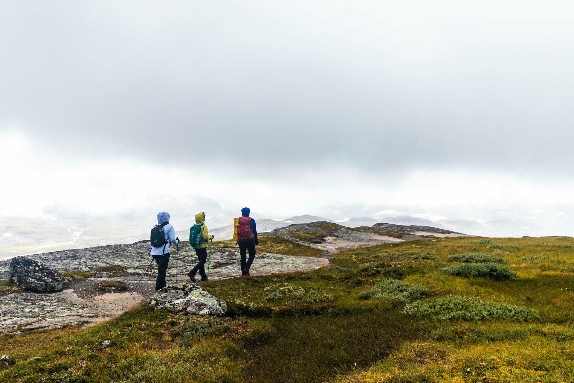 Hiking biking and kayaking in Fjord Norway-2018@ThorH&aring;konUlstad (47)