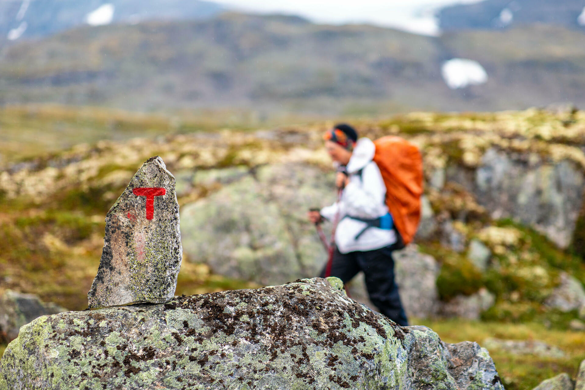 Hiking biking and kayaking in Fjord Norway-2018@ThorH&aring;konUlstad (57)