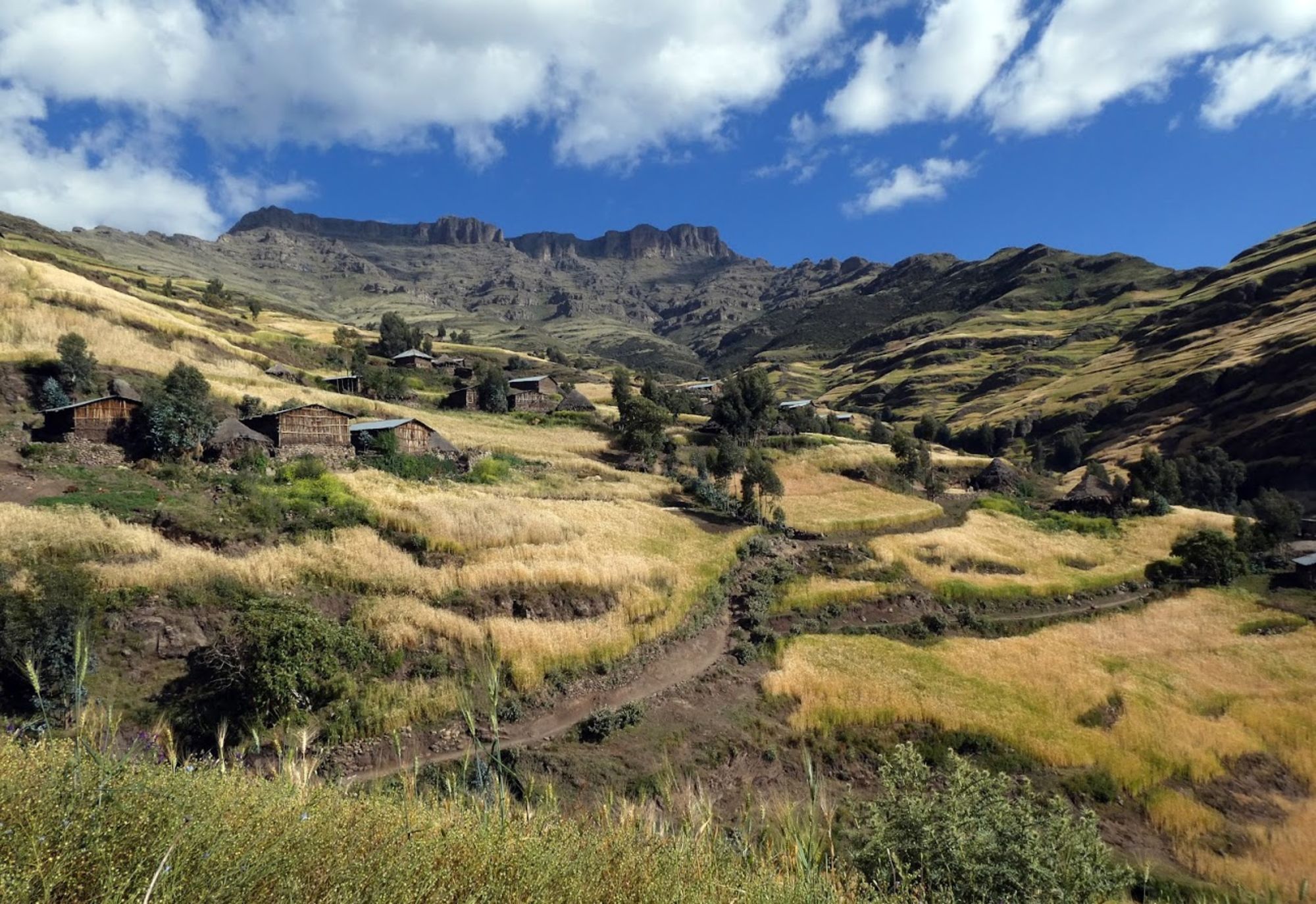 Hanne Hollås - 2019 - Fottur i Simienfjellene (29)