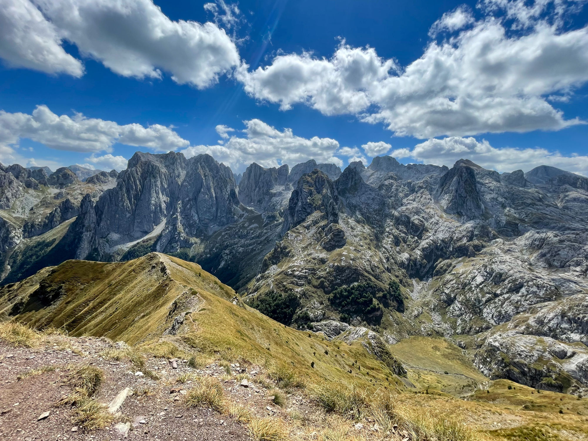 Koso-2024@AtleTrodal (33)