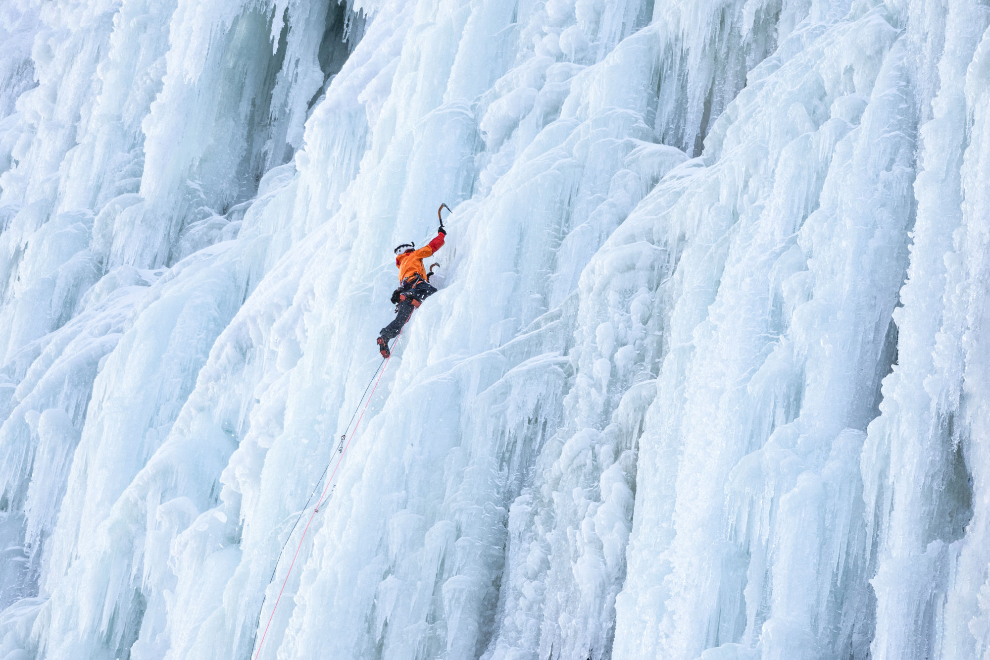 norona-ice-festival-header