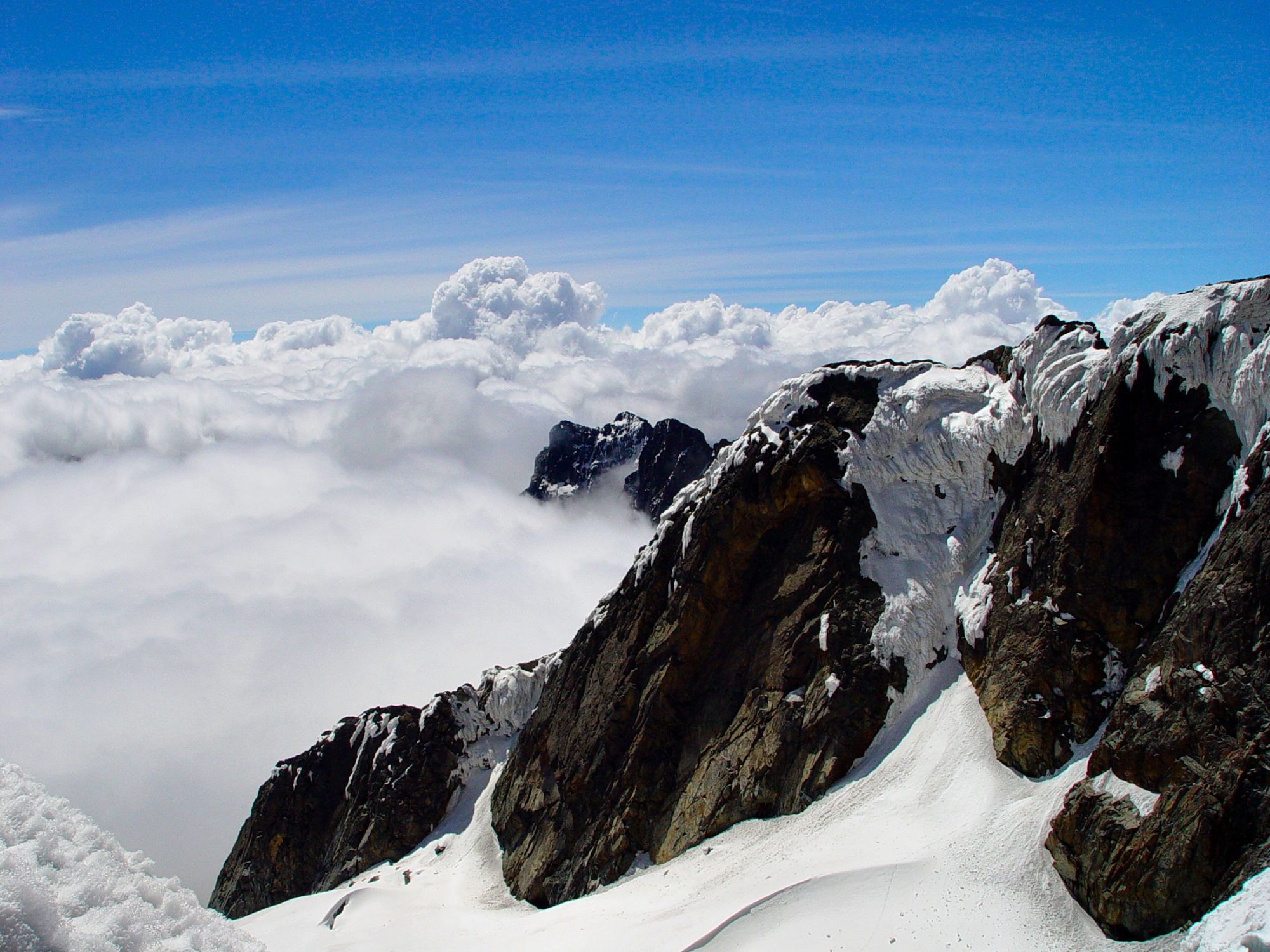 Rwenzori-2005@Ulf Amundsen (1)