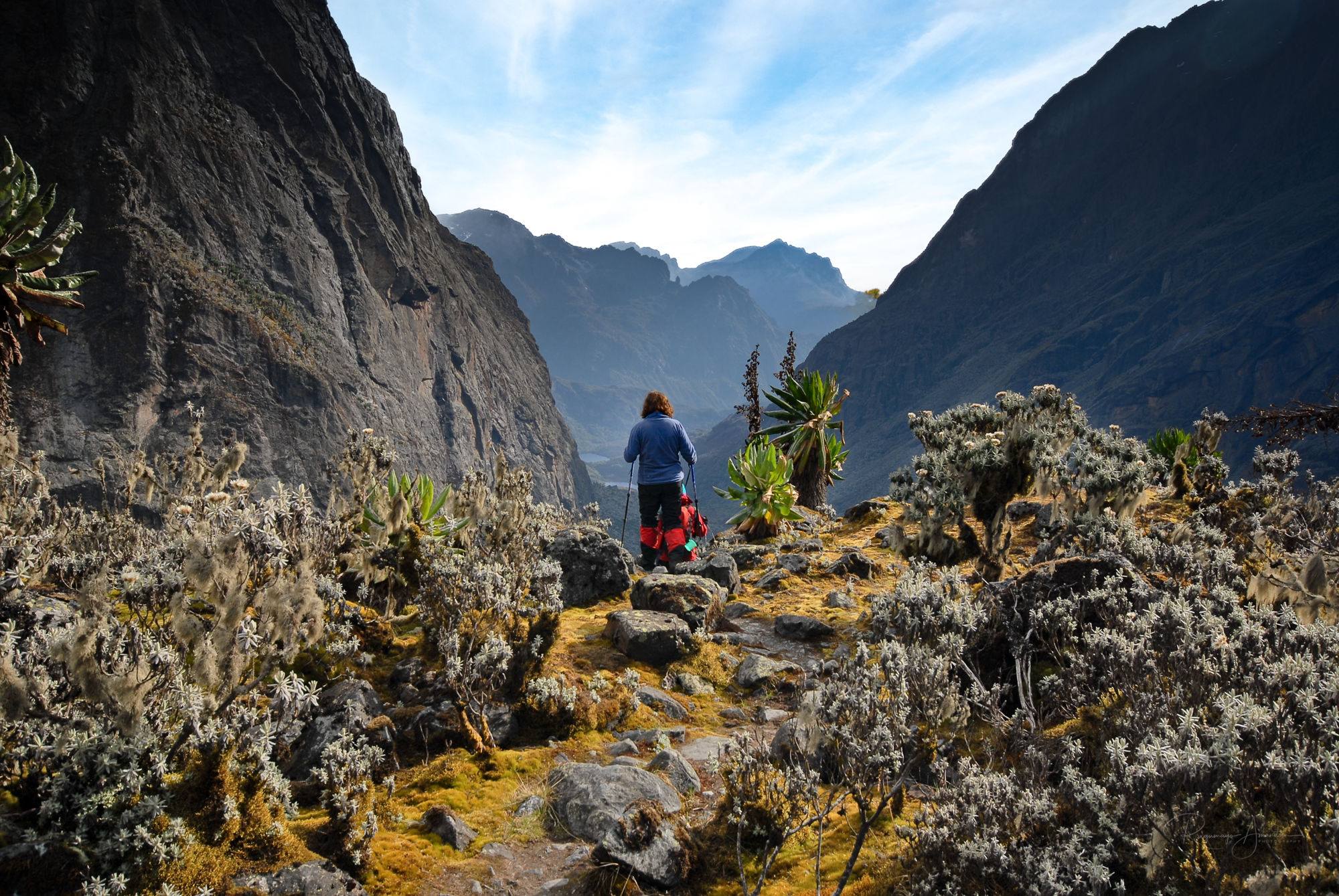 Rwenzori-2025@RwenzoriRangesHikers (3)