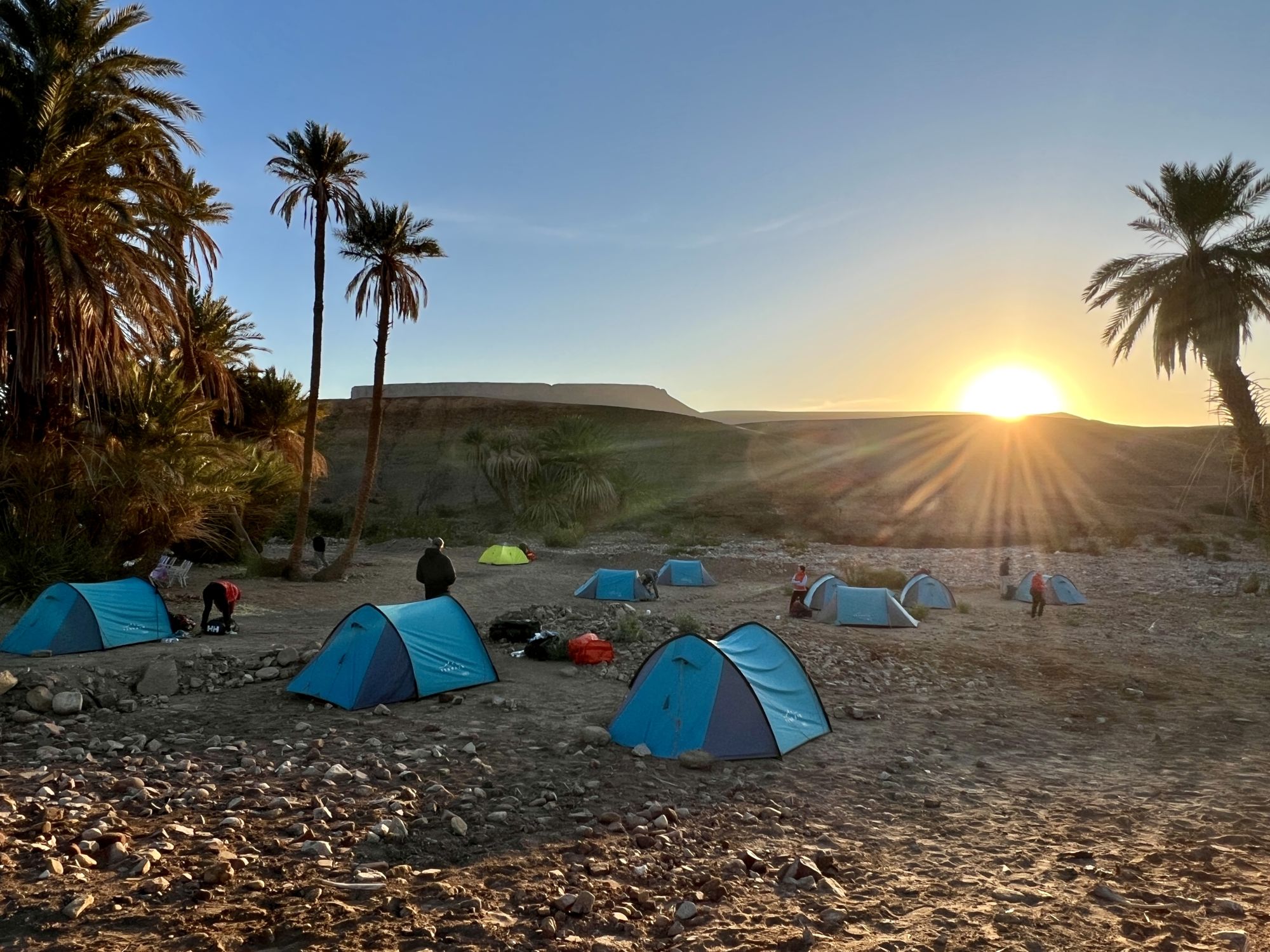 ØrkenvandringiSahara-2025@RigmorØygarden (11)