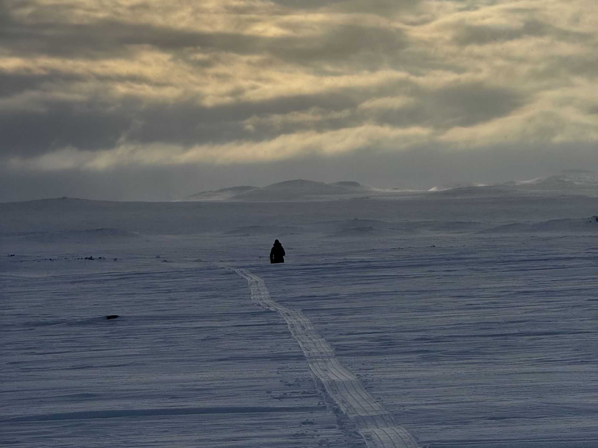 Hardangervidda på langs 11@Jørgen Brøto Torland