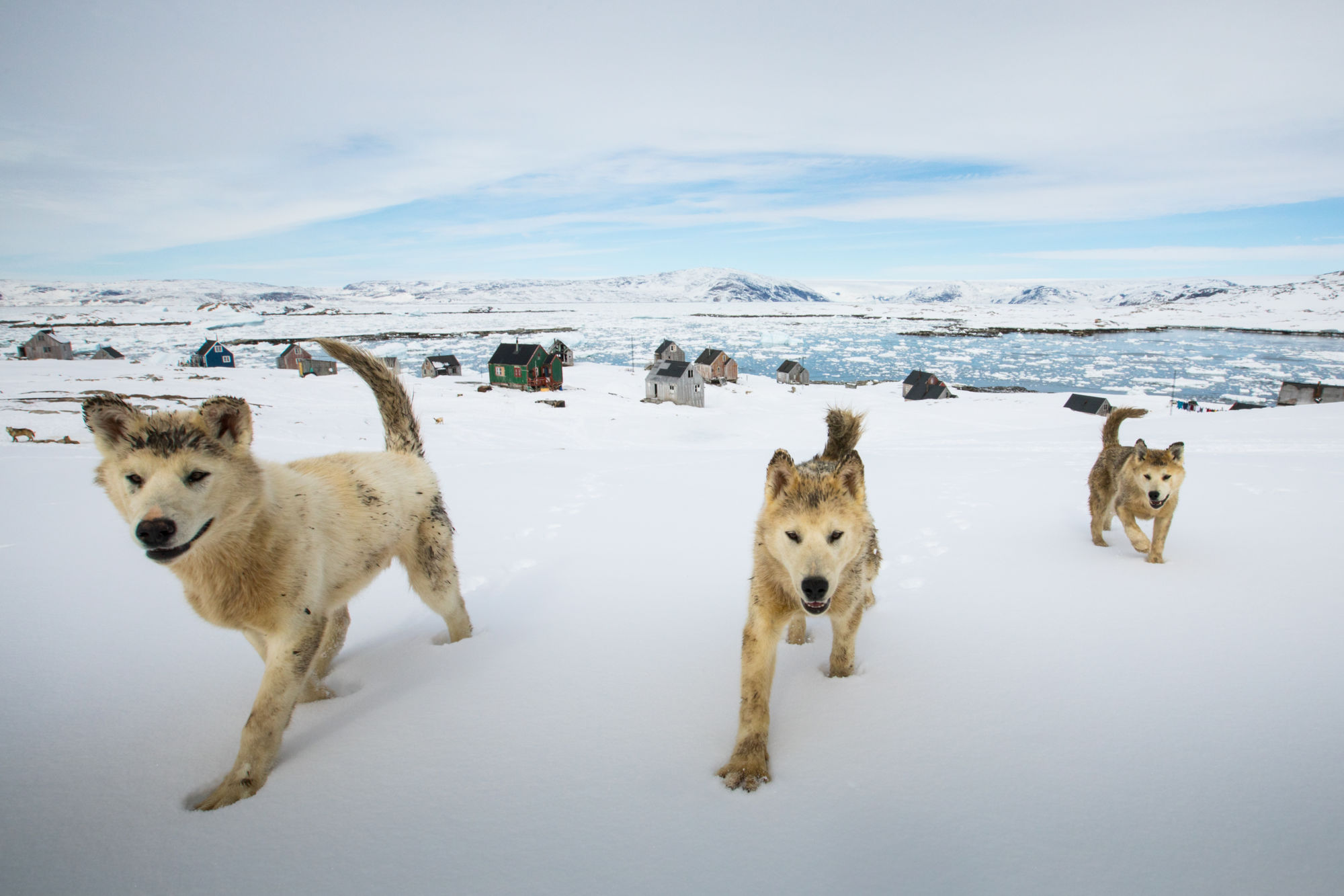 Bjorn Stange Ankre Photography