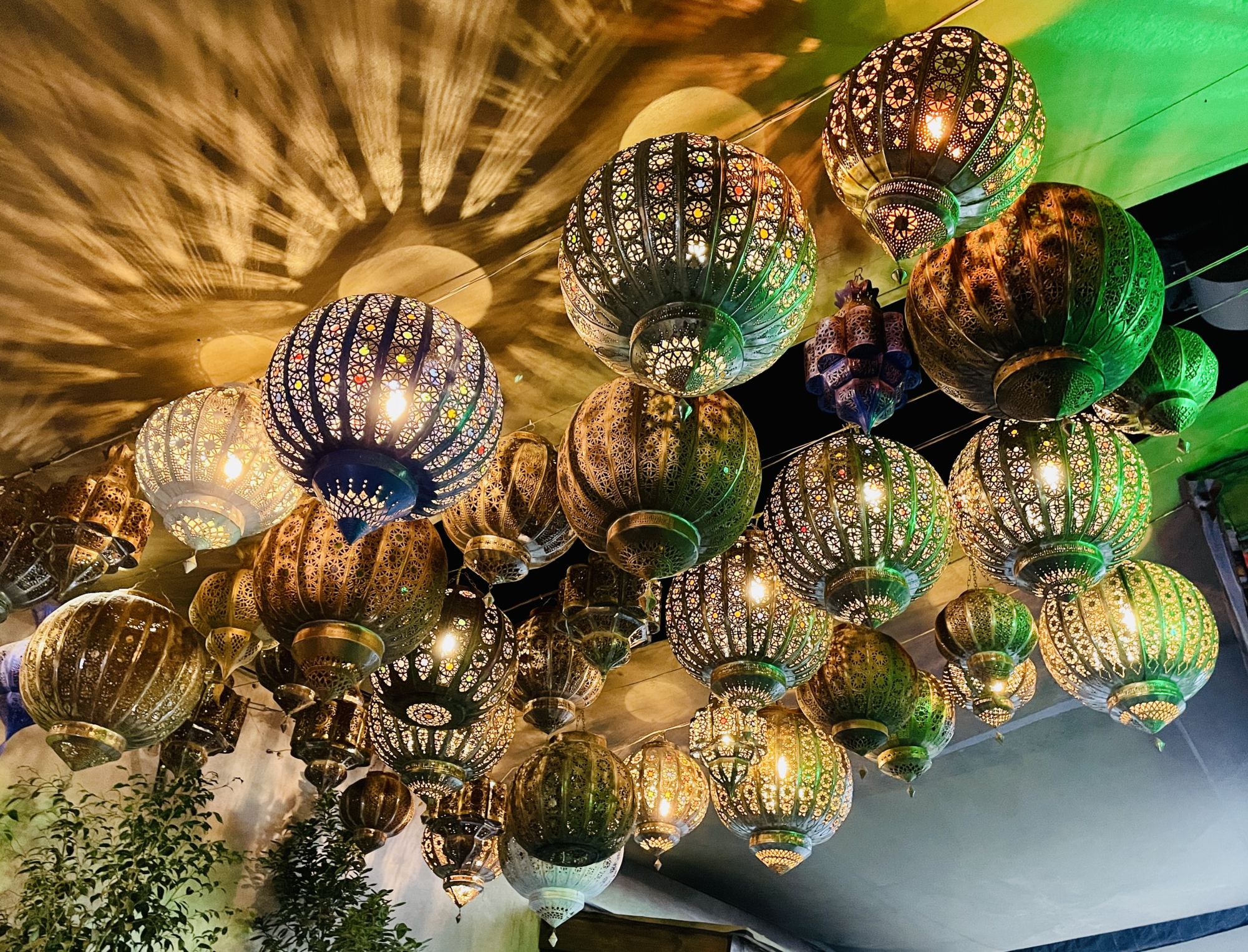 Sahara-2023@Marit Helgerud (2)