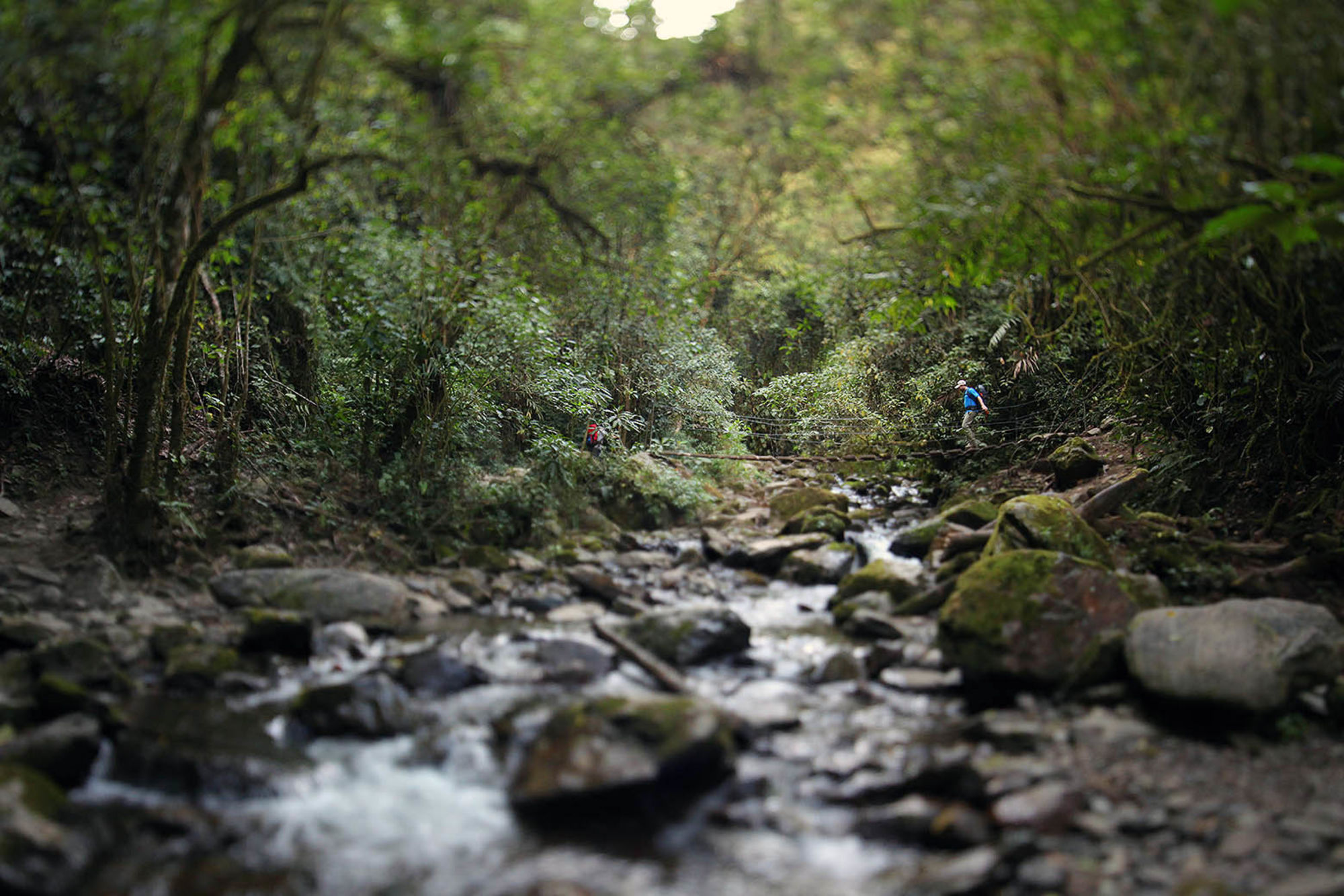 Colombia-2016@MattiBernitz (9)