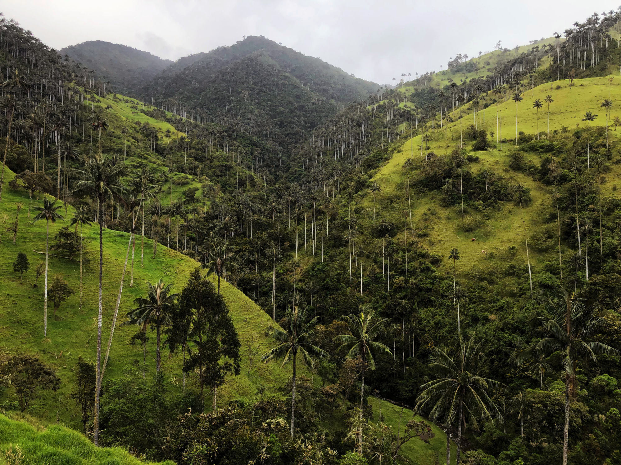 Colombia-2023@Sine Madsen(7)