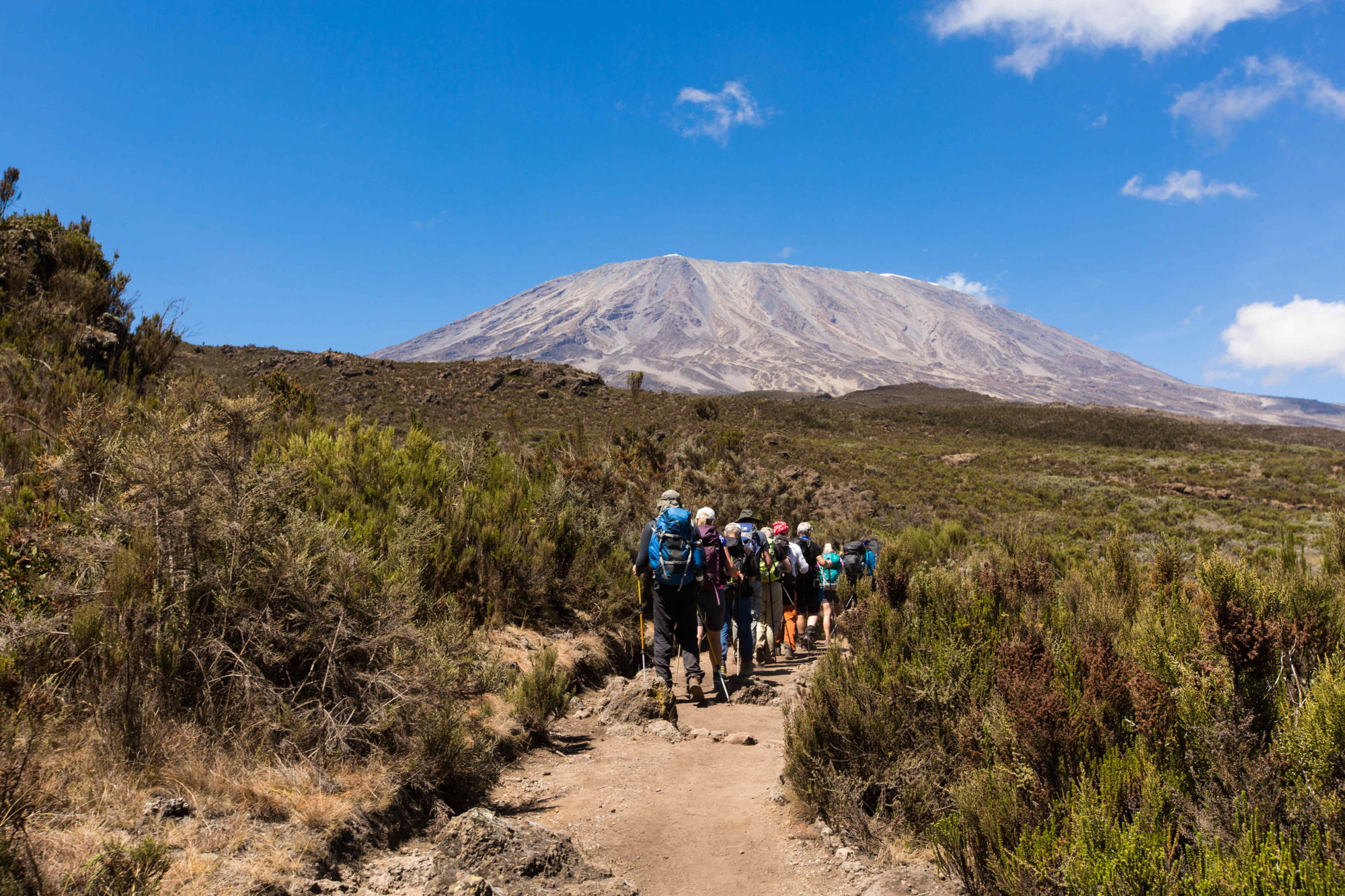 Kilimanjaro-2017@LarsPetterJonassen (23)