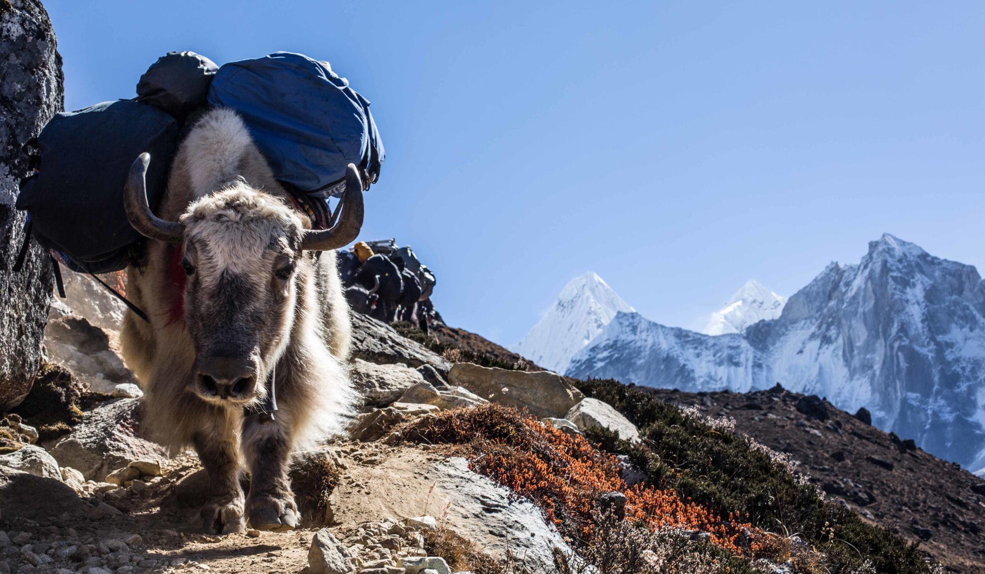 EverestBasecampIslandpeak-2016@LarsPetterJonassen (2)