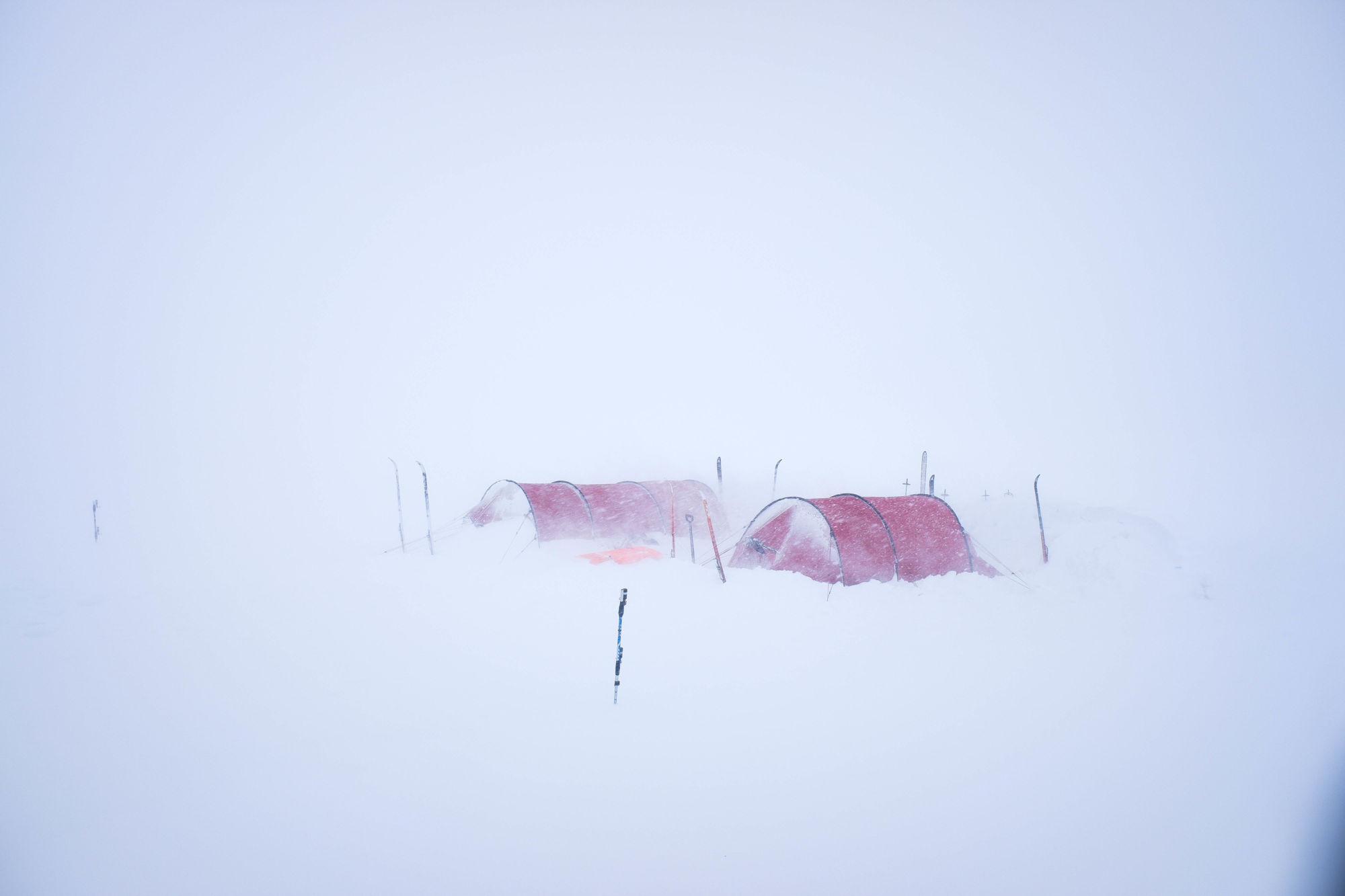 Svalbard på langs-2021@MortenRostille (17)