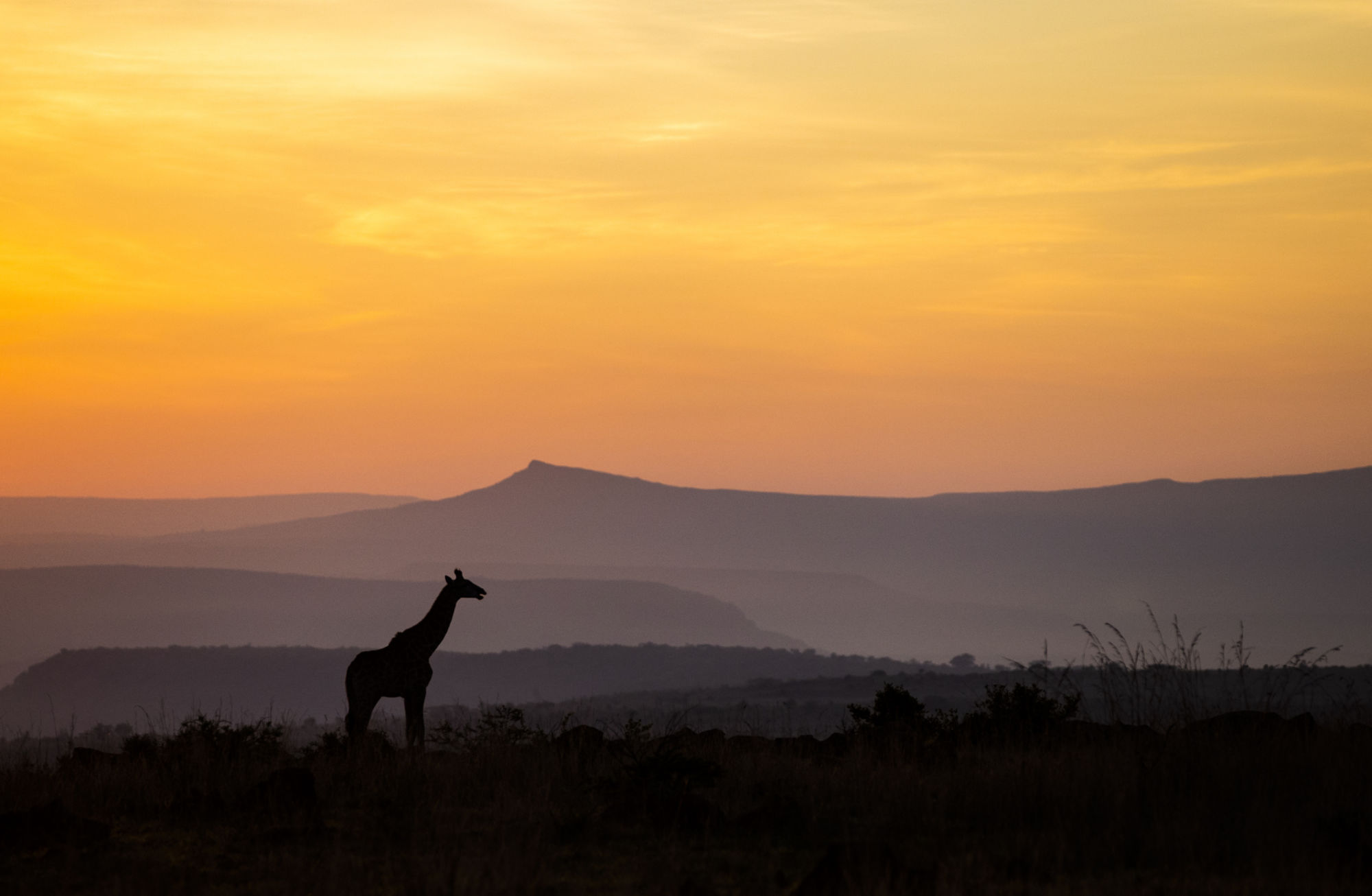 South Africa-2024@GetAfricaTravel (49)