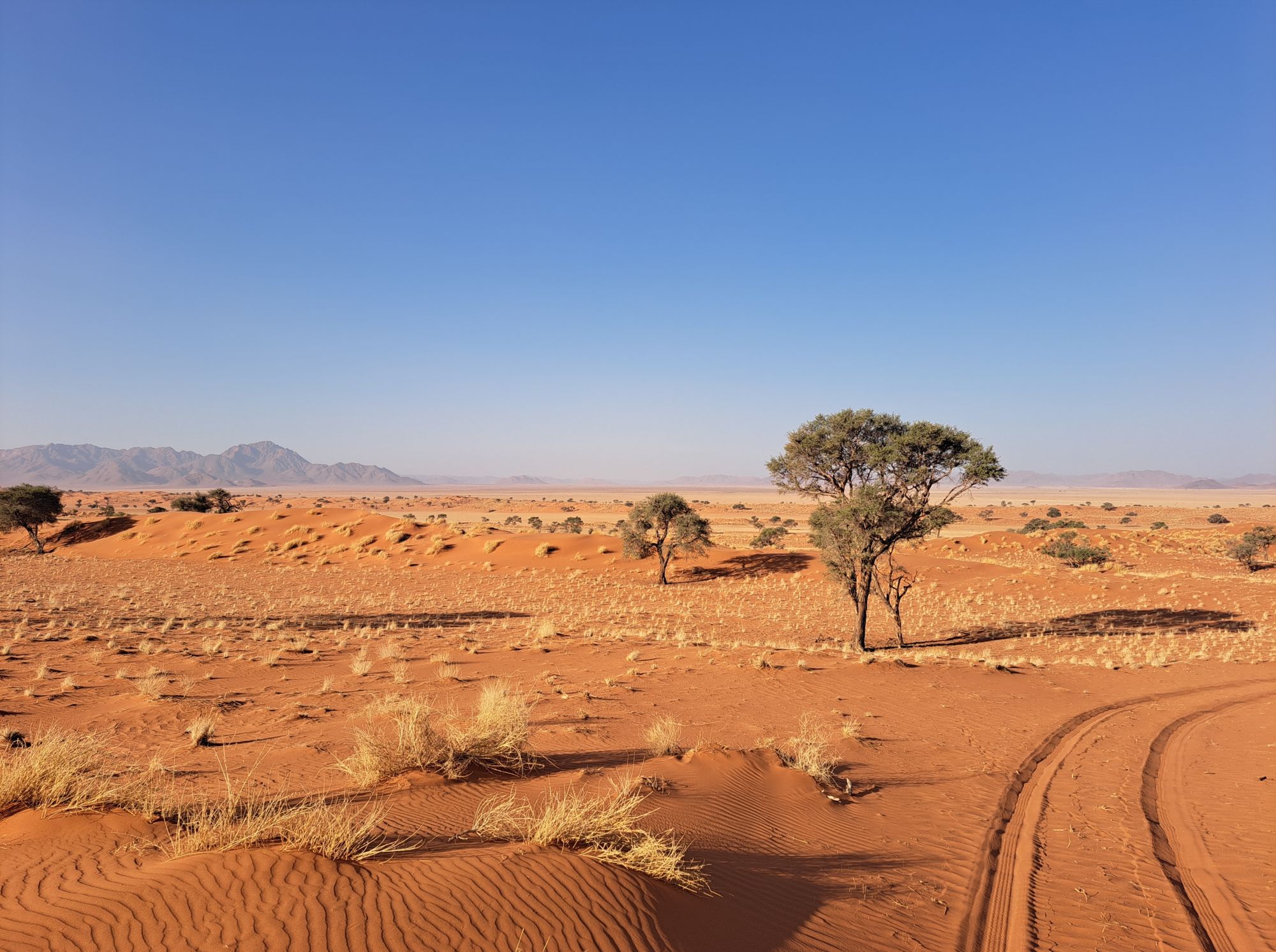 Namibia-2024@HanneHollås (112)