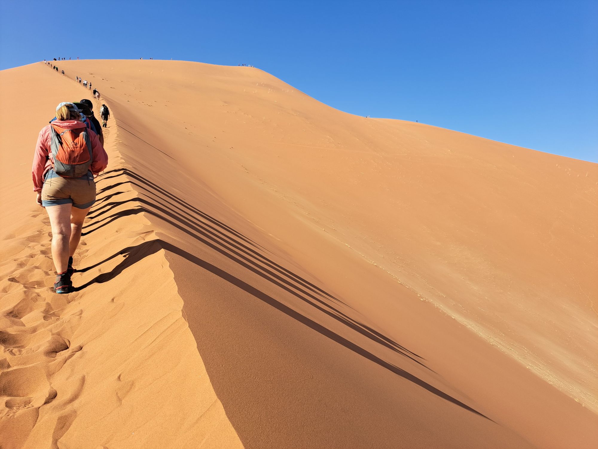 Namibia-2024@HanneHollås (80)