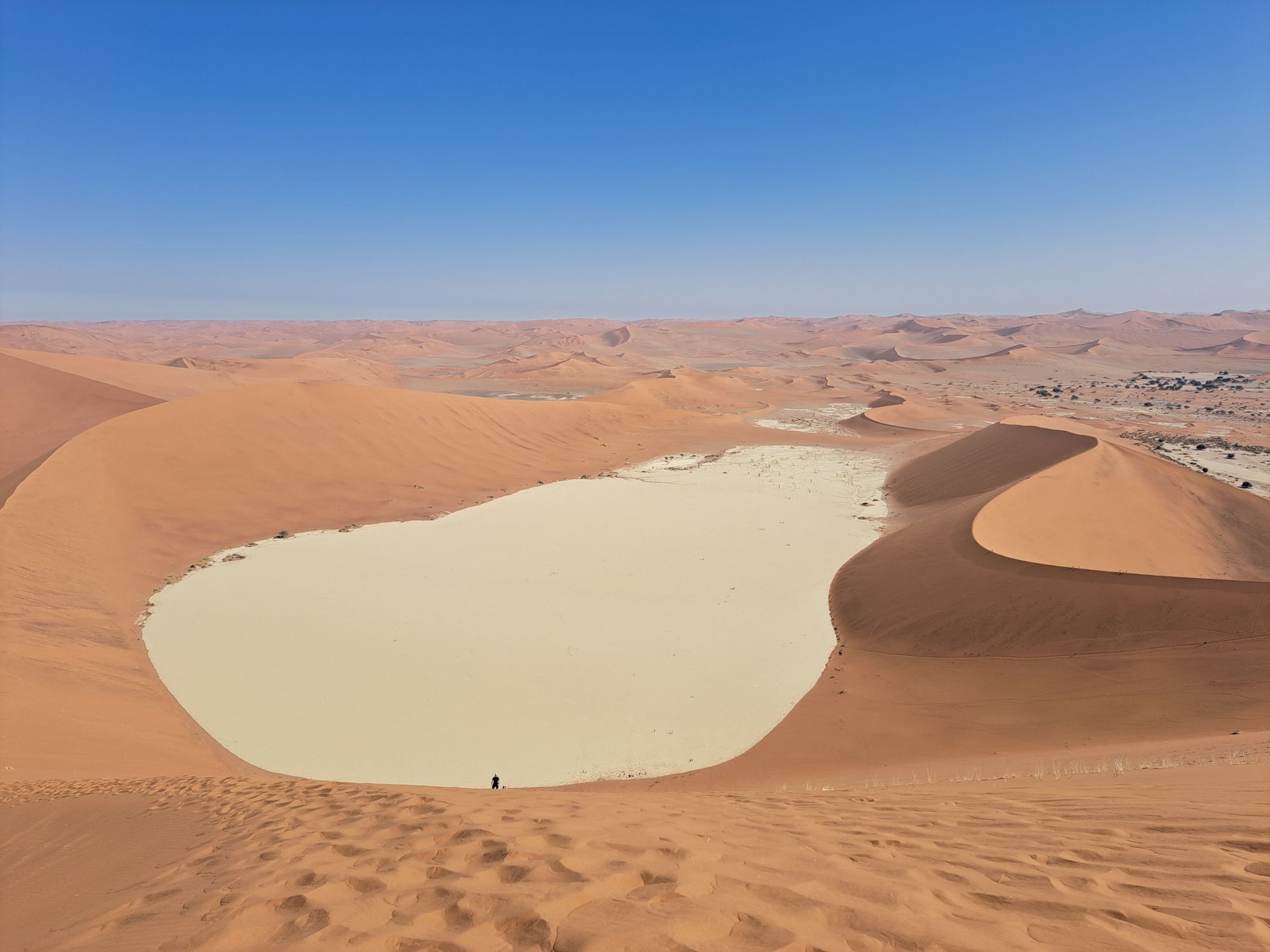 Namibia-2024@HanneHollås (47)