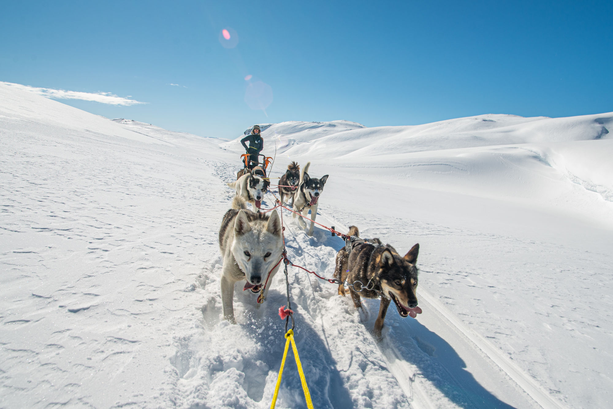 Hundesledetur i Jotunheimens Bakgård@BeitoHusky(17)