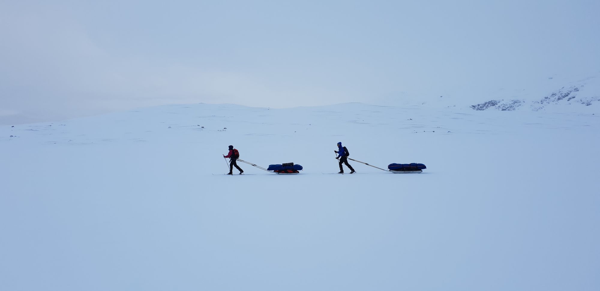 Norge på Tvers@EliseKoren(3)