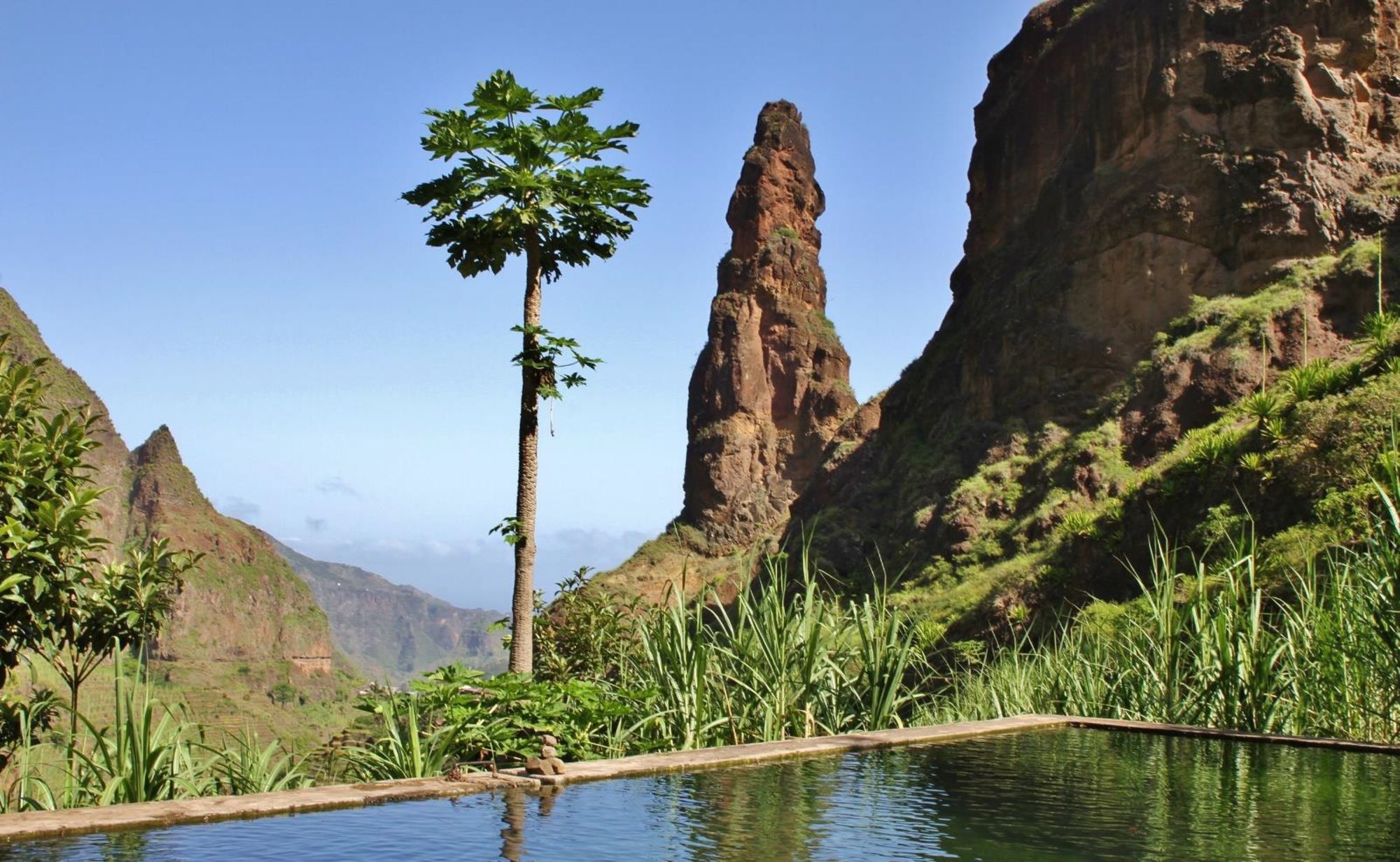 KappVerde-2020@Nobai  (7)