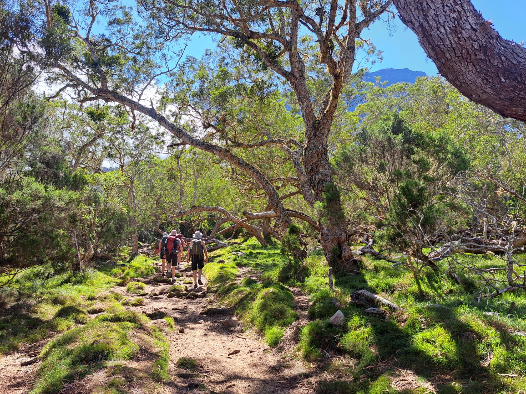 Reunion-2024@HanneHollås (59)