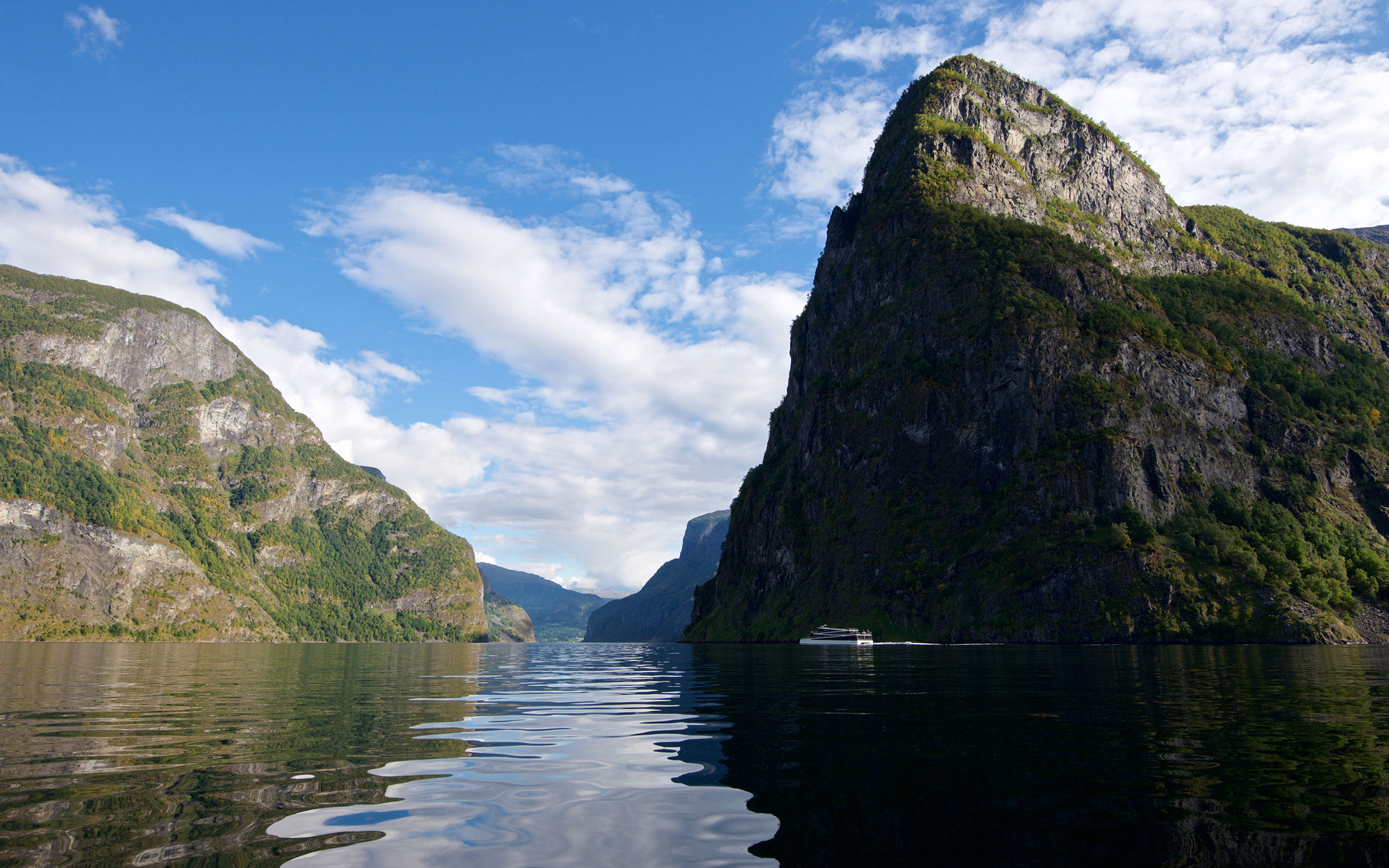 FjordCruiseAurlandsfjord@Øyvind Heen - Fjords.com