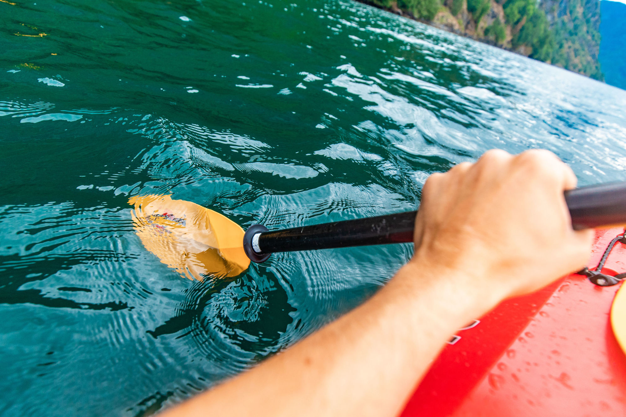Hiking biking and kayaking in Fjord Norway-2018@ThorHåkonUlstad (12)