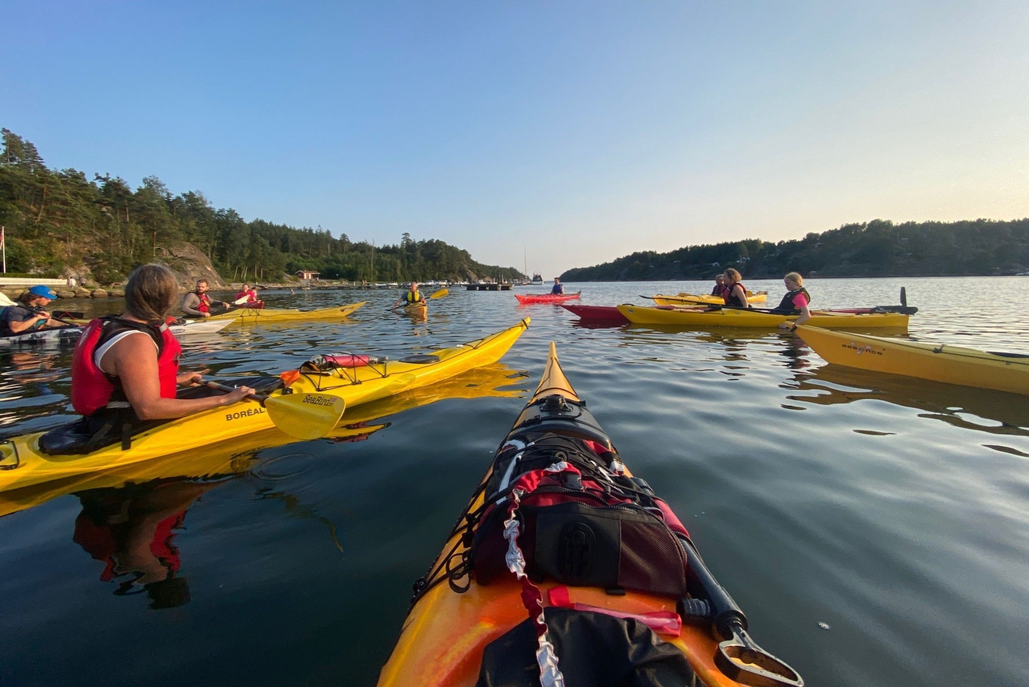 NorrønaHvitserk@KajakkOslo