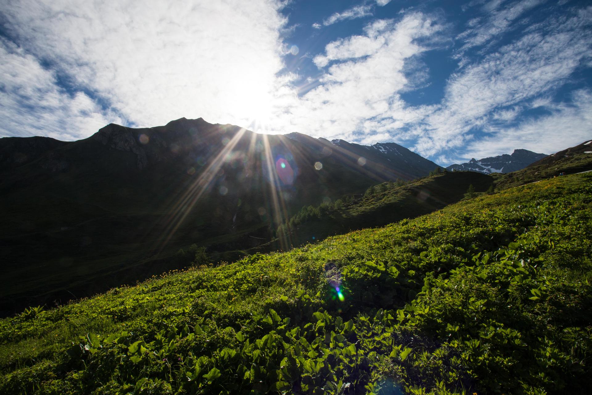 FjellturRundtMontBlanc-2017@MagnusHendis (22)