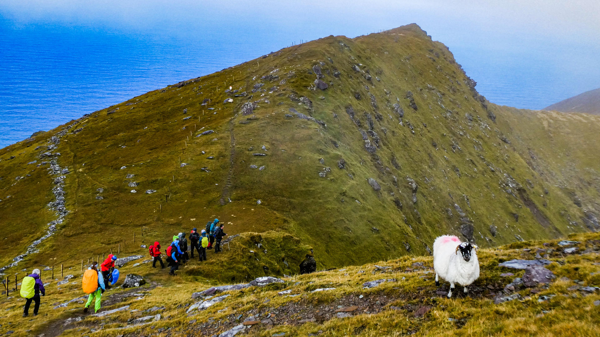 FotturIrland-2018@HanneHoll&aring;s (35)