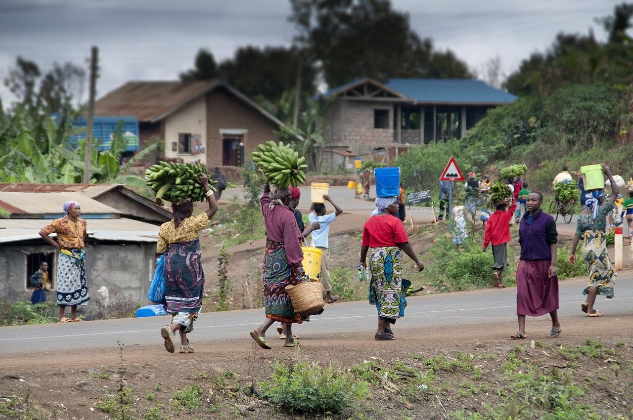Kilimanjaro-2011@ChristianStyve (5)