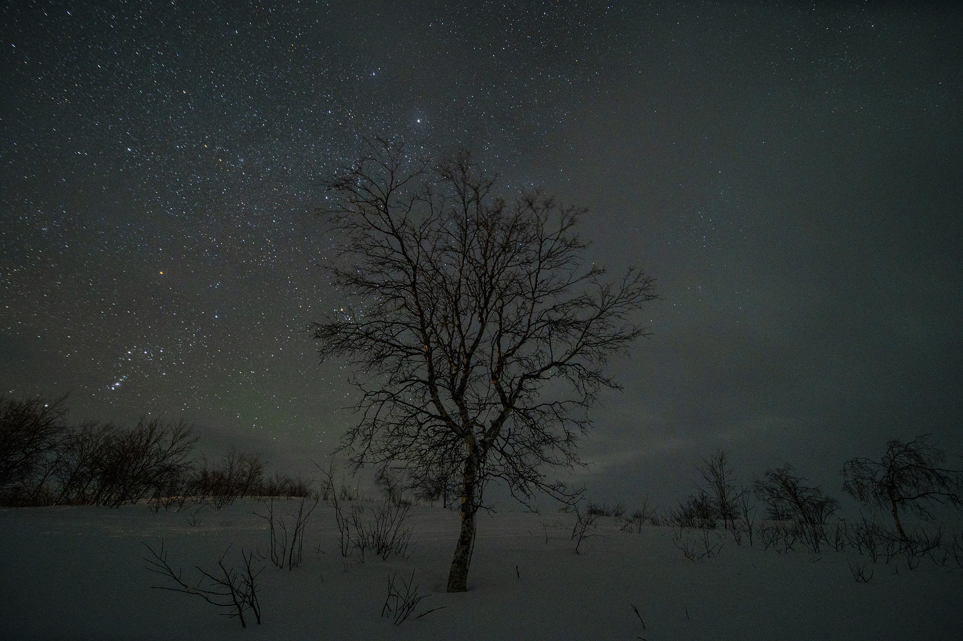 Finnmarksvidda p&aring; Ski@J&oslash;rnAreLongfjeld(11)